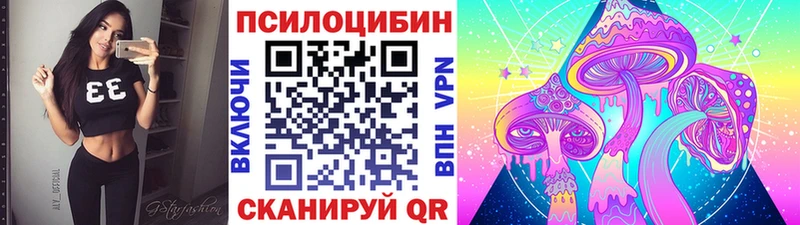 где продают   Мичуринск  omg   Псилоцибиновые грибы Psilocybine cubensis 