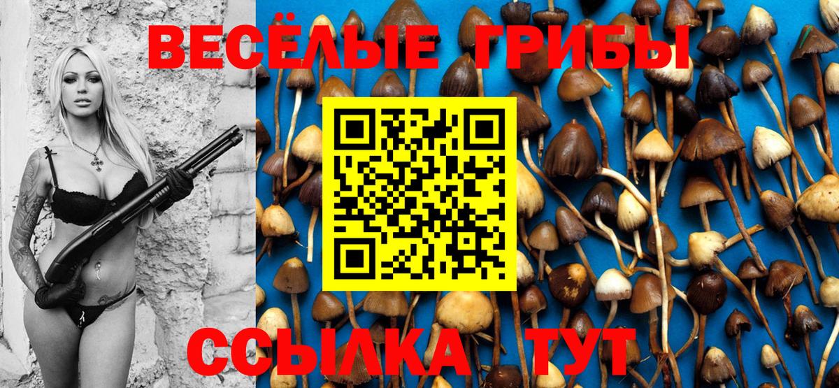 Мичуринск  Галлюциногенные грибы Magic Shrooms  Вход с VPN  где продают   Псилоцибиновые грибы Psilocybe 