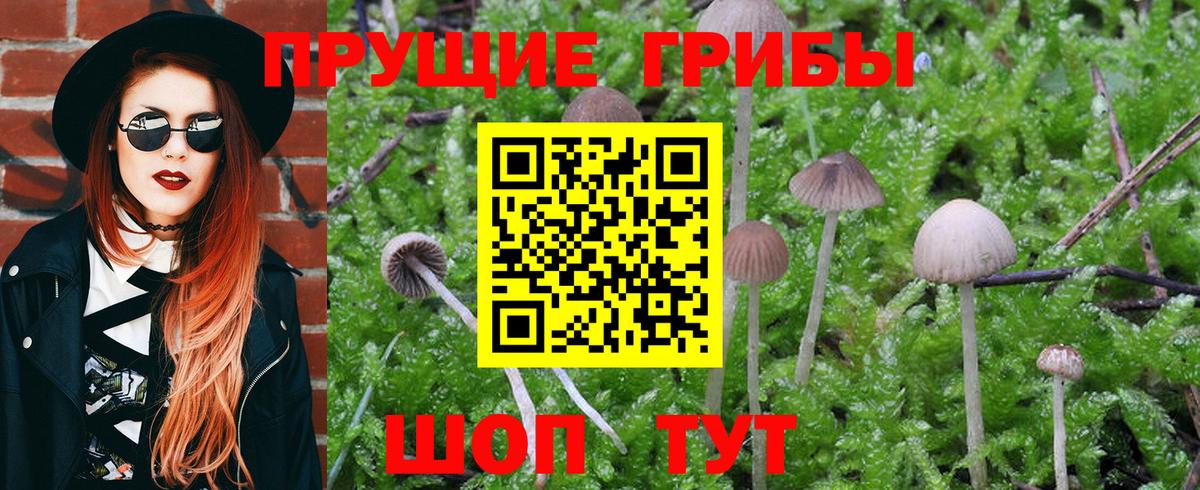 Галлюциногенные грибы MAGIC MUSHROOMS Мичуринск